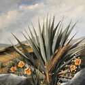 Desert Succulents  -  18 x 24   Acrylic on canvas