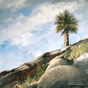 Lone Palm  -  18 x 18  Acrylic on canvas