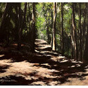 Walden Woods 2 - 22 x 28 Acrylic on canvas