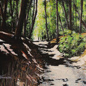 Walden Woods  22 x 28   Acrylic on canvas